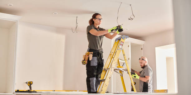 Best Electrician for Home Renovation  in Volo, IL
