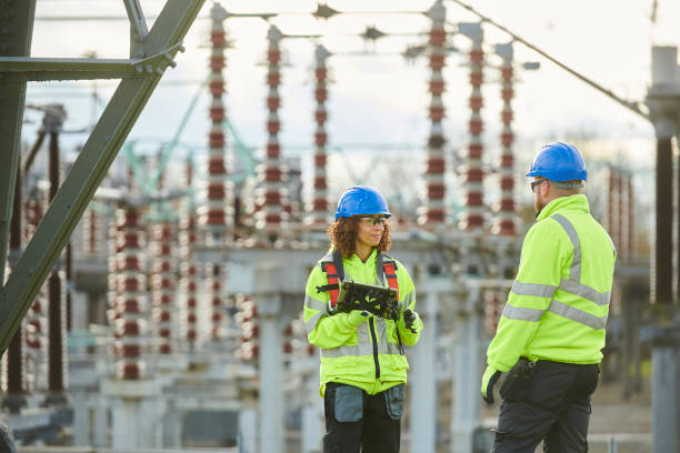 Best Affordable Electrician  in Volo, IL