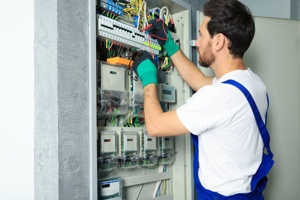 Best Electric Panel Repair  in Volo, IL